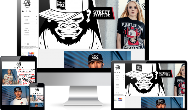 public mo website